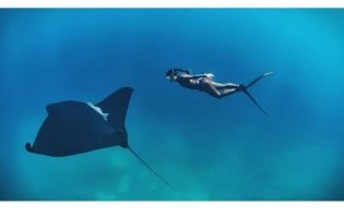 Смешные картинки