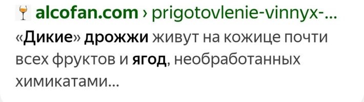 Вина из винограда, конечно, не было. 
Своего. Но привозили с юга. 

А вообще, дрожжи есть на любой ягоде. 
Они хуже "домашних", но сбраживать могут. 
С другой стороны, все дрожжи когда-то были дикими. 

Так что, брагу вполне себе делали.