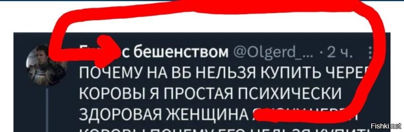 Смешные картинки