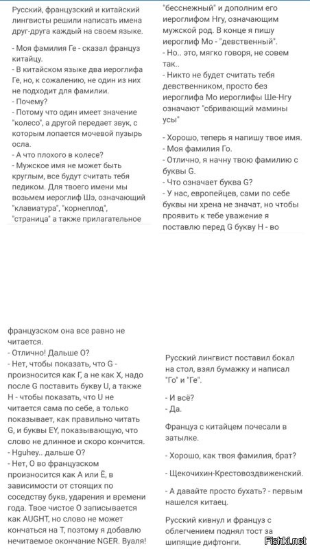 Неронка и ЖЖ: сборник каламбуров и лингвошуток