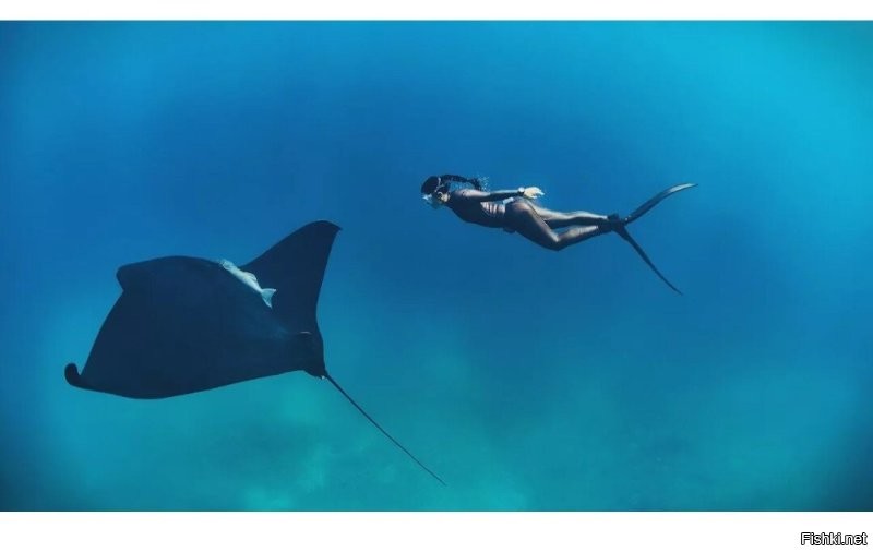 Смешные картинки