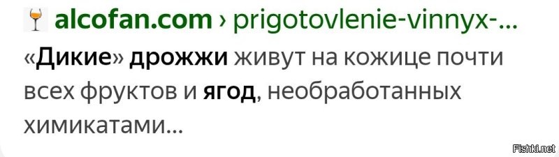 Вина из винограда, конечно, не было. 
Своего. Но привозили с юга. 

А вообще, дрожжи есть на любой ягоде. 
Они хуже "домашних", но сбраживать могут. 
С другой стороны, все дрожжи когда-то были дикими. 

Так что, брагу вполне себе делали.