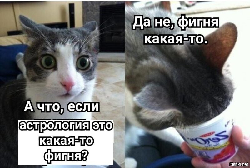 Смешные картинки