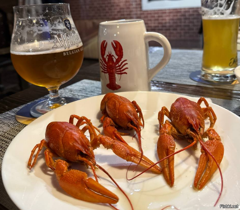 Солянка от 26.11.2025