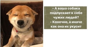 Смешные картинки