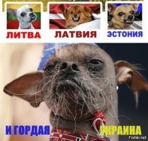 Политика , политика , политика
