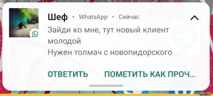 Политика , политика , политика