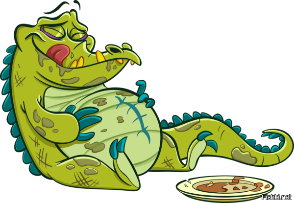 Солянка от 26.11.2025