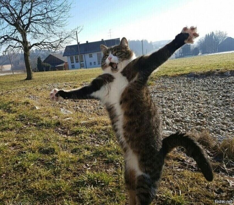 Вот такущщий был!!