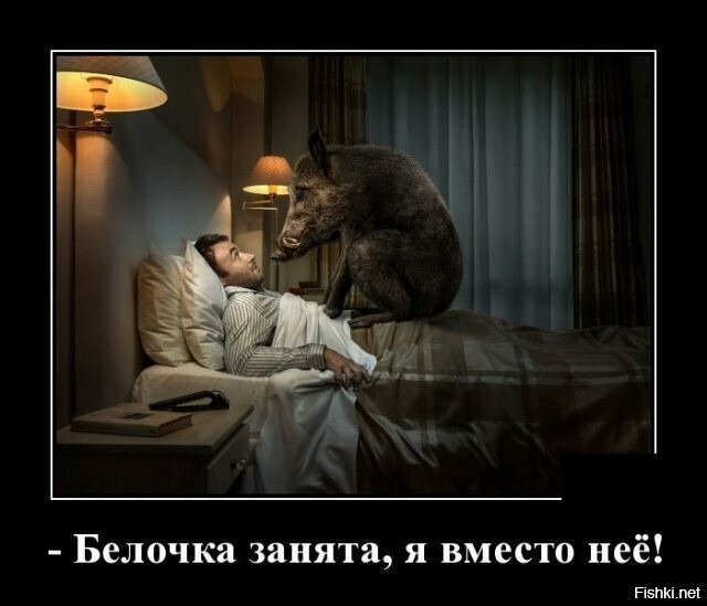 В Чертанове заметили белку, которая бегала по стене дома и заглядывала в окна