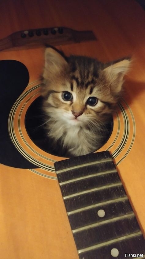 Дратуте
Уже дуэтЬ )