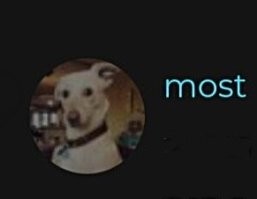 А мост где? )