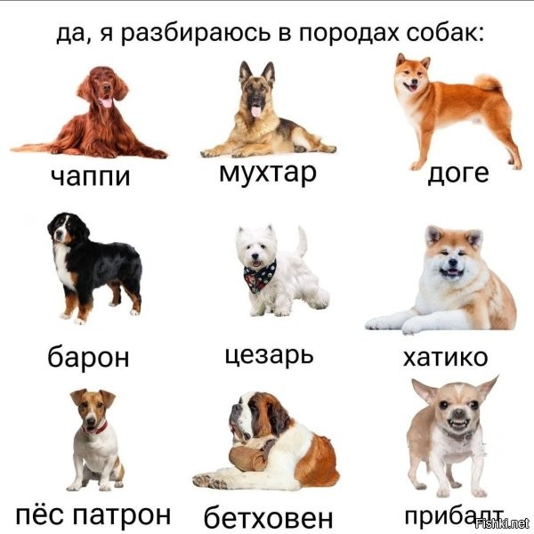 А мост где? )