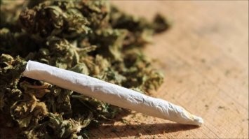 Девушка получила от своего лучшего друга весьма необычный подарок