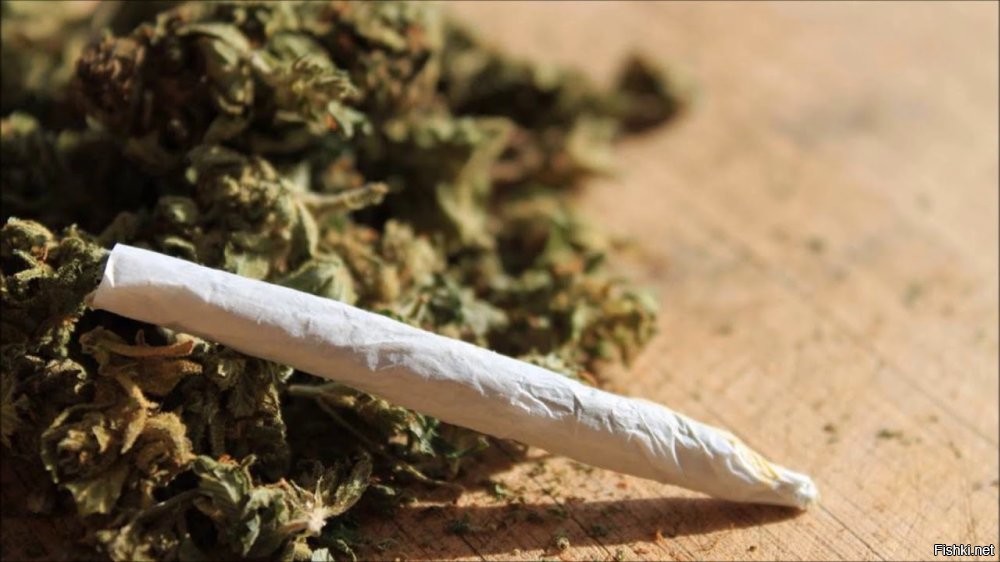 Девушка получила от своего лучшего друга весьма необычный подарок