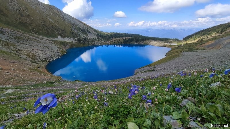 Радоновое озеро. Иваноцский хребет. Восточно-Казахстанская облать.