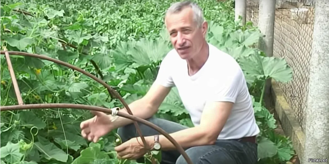 Ну... Это ещё не худший вариант.