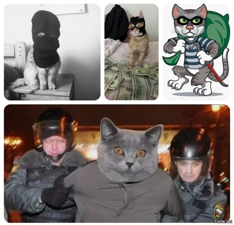 Кошку случайно закрыли в банке