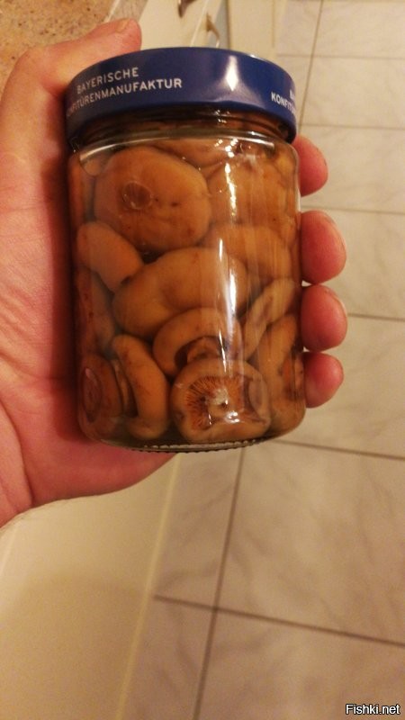 Солянка от 26.11.2025