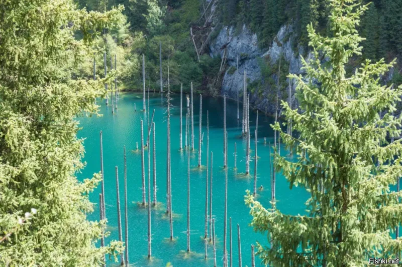 Озеро Каинды, Алматинская обл, Казахстан