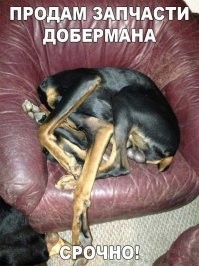 13 примеров перспективы, которые заставят протереть глаза и усомниться в реальности увиденного