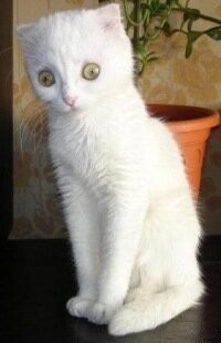 У меня аж глаз задёргался