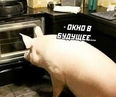 С миру по нитке и , и лишь о политике