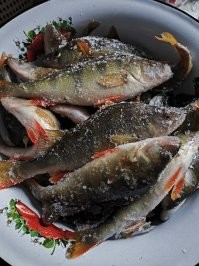 Каждое воскресенье отдыхаю..)))