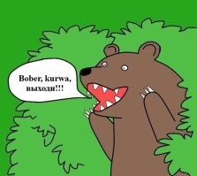 Сколько надо поляков, чтобы остановить микроавтобус?