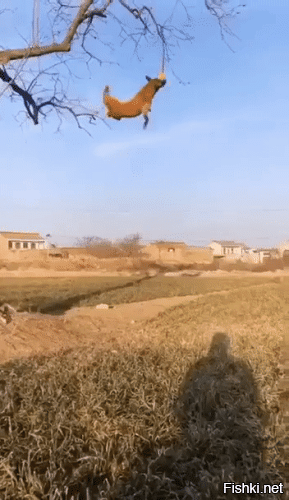 Просто гифки, всякие и&nbsp;разные