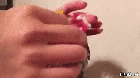 Просто гифки, всякие и&nbsp;разные