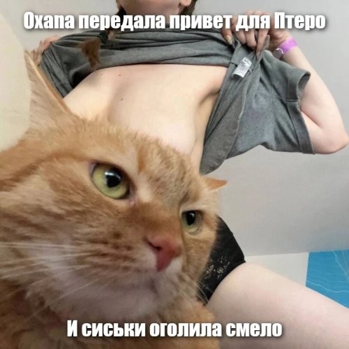 Солянка от 29.11.2025