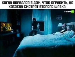«Зачем столько камер, если воровать нечего?»: в Индии вор обиделся на хозяев квартиры