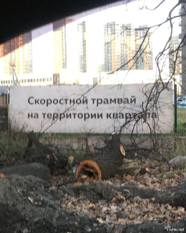 узнаю новоград павлино