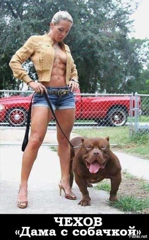 В США появилась новая звезда – собака с самой огромной головой в мире