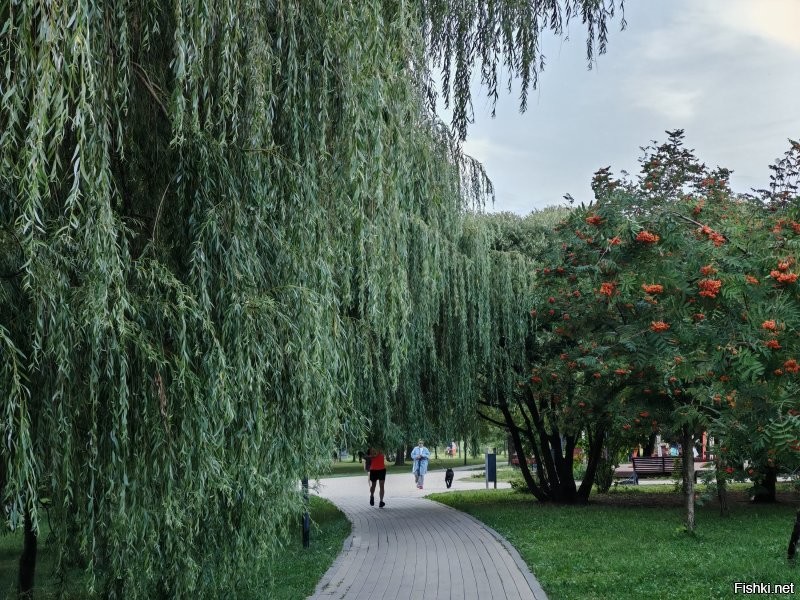 Не поверите, это Южное Бутово.