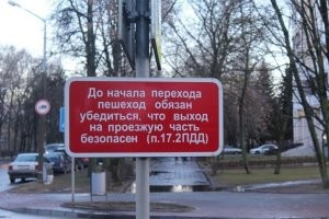 Надо вообще то иметь чувство самосохранения...  Хотя водила не прав.