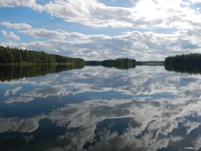 Так сойдёт? Озеро Верято. Псковская область.