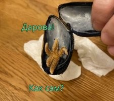 20 невероятных находок, которые стали результатом чистой случайности