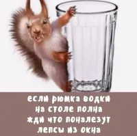 В мире животных. Белки