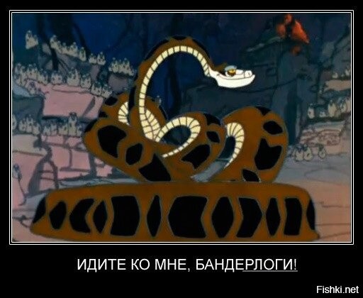 Обезьянопад в Китае