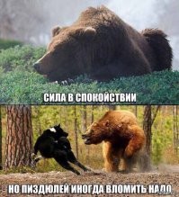 Чем заканчиваются встречи медведей и волков?