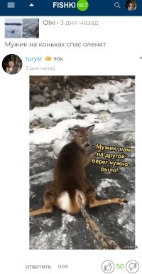 Кучно, копытные, пошли. 

Интересно, как они без человека выживают?