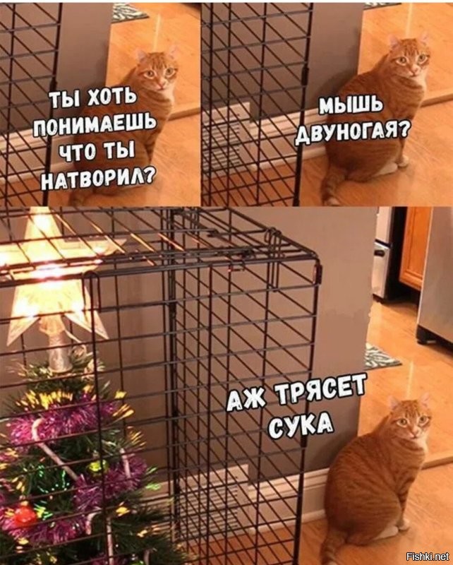 Главное украшение на Новый год