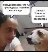 Показалось: 25+ смешных фото, на которые стоит взглянуть дважды, чтобы понять, а что тут происходит?