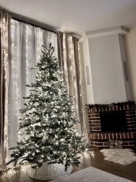 Ну также можно в ЦУМе ценники на одежду смостреть и офуевать, можно на Рублевке дома выбирать, синея от ценника и тд, а можно в Леруа зайти и не выёпываться! Вот, вроде 20-25 стоила и все норм, уже 4-й год наряжаем, жена только украшения согласно годовому фэн-шую выбирает.