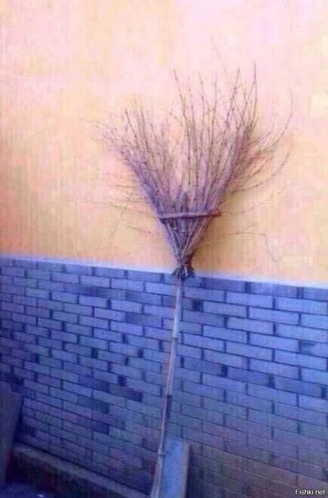 Скрытые оптические иллюзии, которые можно увидеть, прищурив глаза