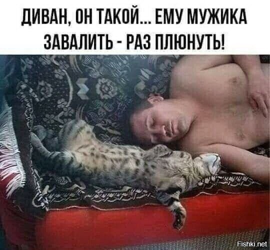 Демотиваторы для всех