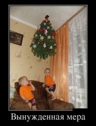 от котов и детей.