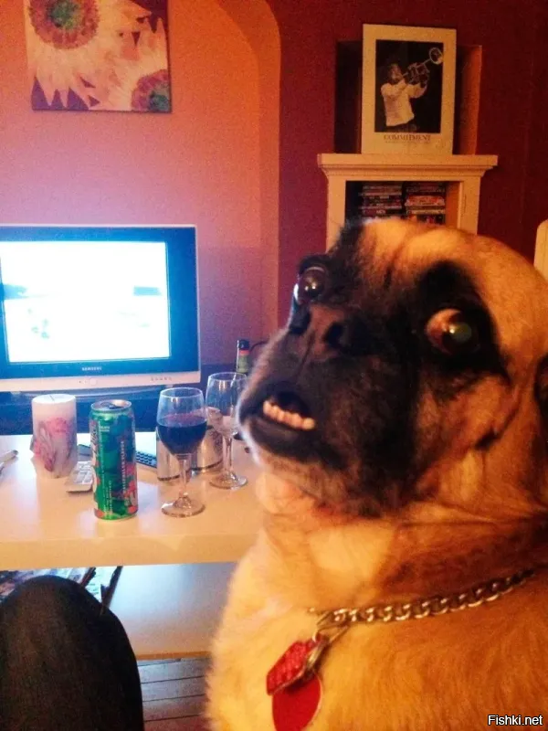 Щитовая за 3 млн: в квартире сделали отдельную электрокомнату